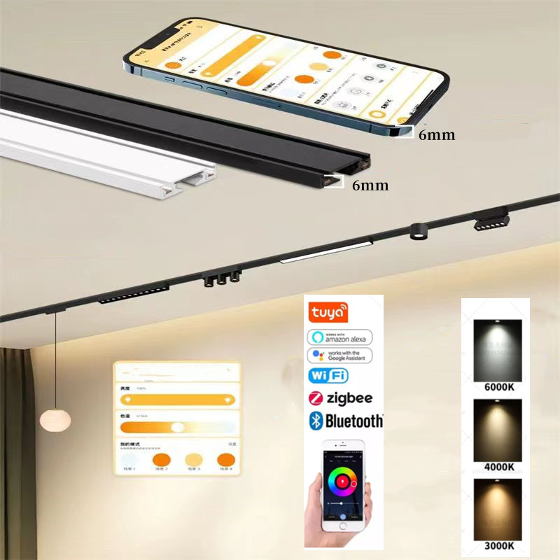 Outdoor Lighting Track - Rumah Pintar Tuya peredupan 6MM, dudukan