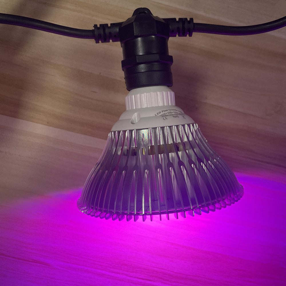 Kabel LED 10M Kelas Komersial  - Outdoor Lighting And Landscape ulasan dan harga